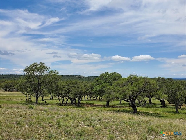 974 Blackbuck Ridge Dr, Lampasas, TX 76550