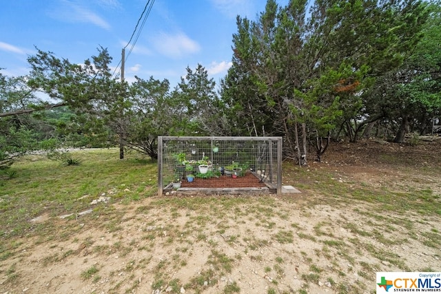 view of yard featuring an outbuilding