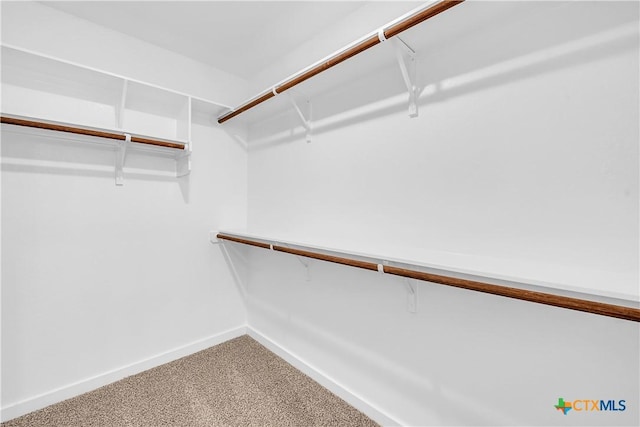 1531 Hillside Dr, Temple, TX 76502 - spacious closet with carpet floors