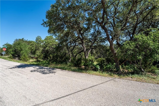 1529 Charter Oak Dr, Canyon Lake, TX 78133