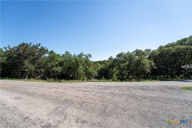1529 Charter Oak Dr, Canyon Lake, TX 78133