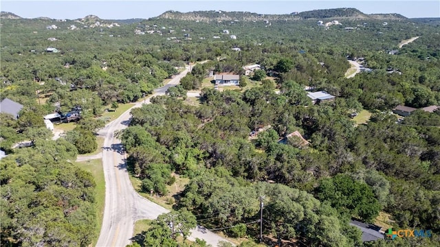 1529 Charter Oak Dr, Canyon Lake, TX 78133