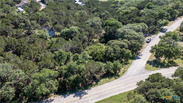 1529 Charter Oak Dr, Canyon Lake, TX 78133