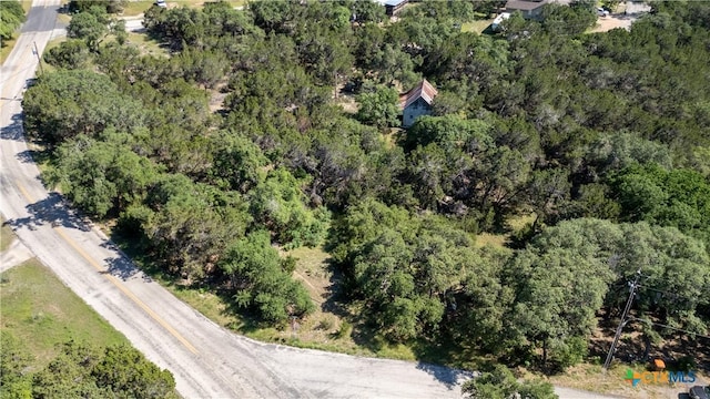 1529 Charter Oak Dr, Canyon Lake, TX 78133