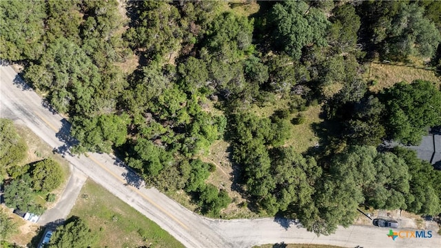 1529 Charter Oak Dr, Canyon Lake, TX 78133