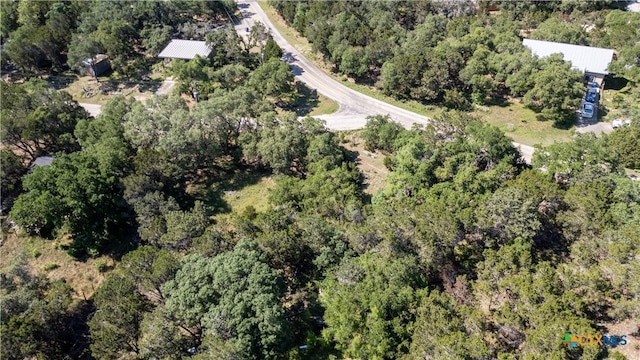 1529 Charter Oak Dr, Canyon Lake, TX 78133