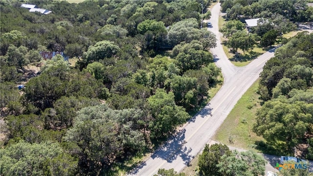 1529 Charter Oak Dr, Canyon Lake, TX 78133
