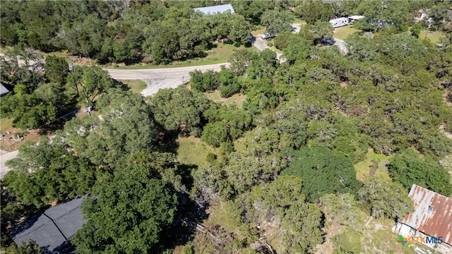 1529 Charter Oak Dr, Canyon Lake, TX 78133