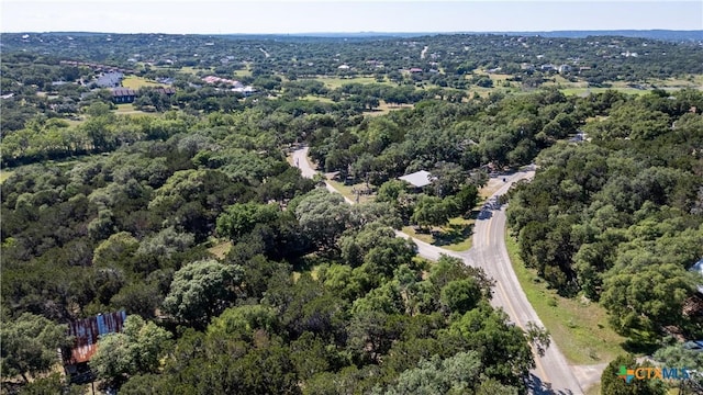 1529 Charter Oak Dr, Canyon Lake, TX 78133