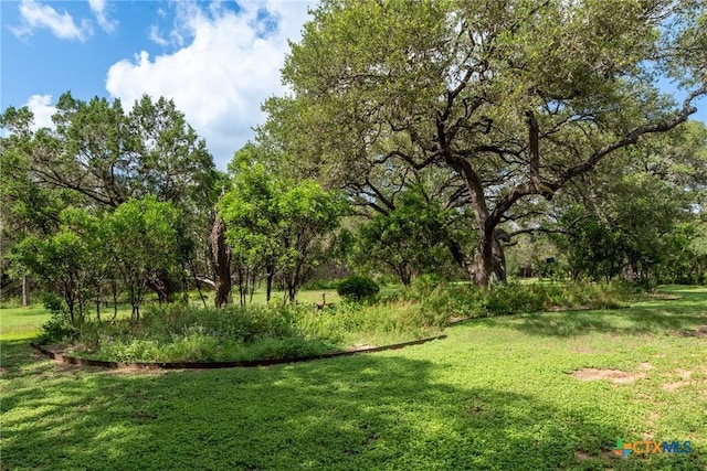 1100 Isaac Creek Cir, New Braunfels, TX 78132 - photo 36