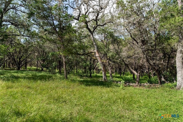 1100 Isaac Creek Cir, New Braunfels, TX 78132 - photo 47