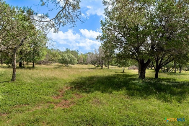1100 Isaac Creek Cir, New Braunfels, TX 78132 - photo 46