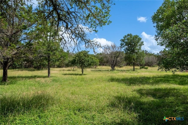 1100 Isaac Creek Cir, New Braunfels, TX 78132 - photo 14