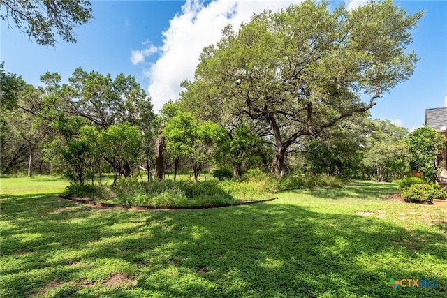 1100 Isaac Creek Cir, New Braunfels, TX 78132 - photo 37