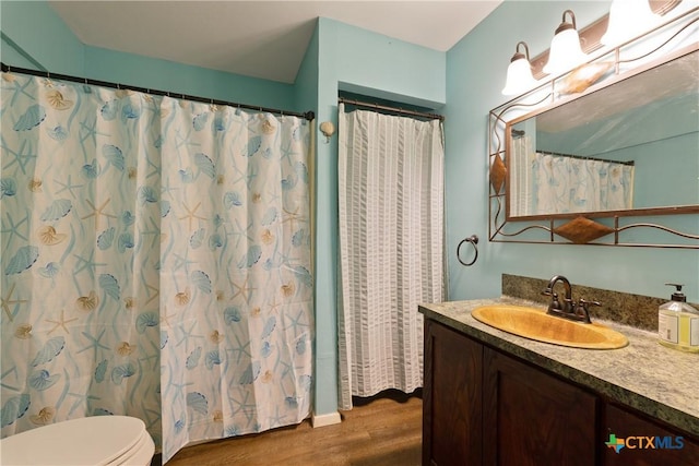 725 Baffin Dr, Port Mansfield, TX 78598 - bathroom featuring wood finished floors, vanity, and toilet