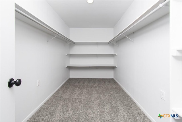 13989 Indian Bluff Rd, Temple, TX 76502 - walk in closet with dark carpet
