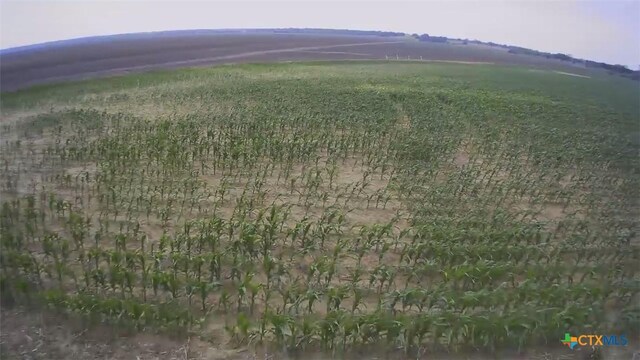 TBD County Road 448, Chilton, TX 76632 - photo 8