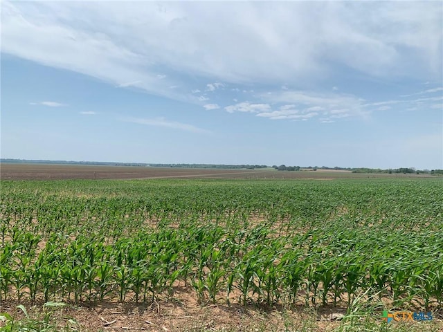 TBD County Road 448, Chilton, TX 76632 - photo 2