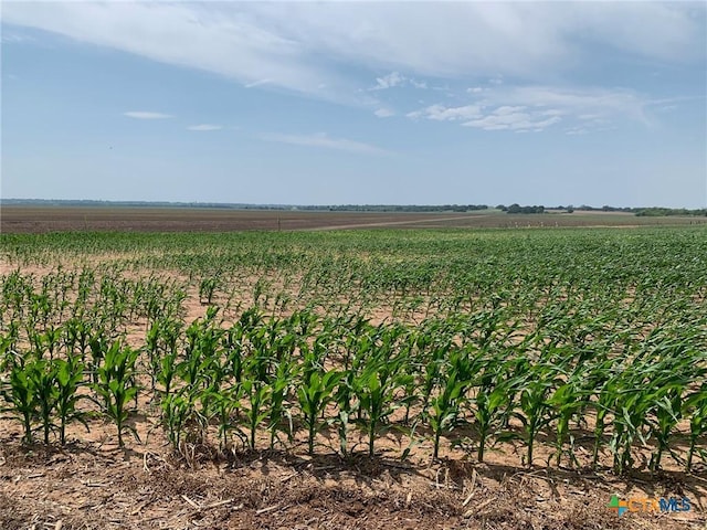 TBD County Road 448, Chilton, TX 76632 - photo 1