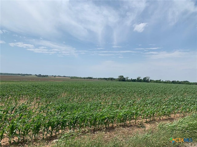 TBD County Road 448, Chilton, TX 76632 - photo 3