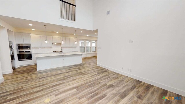 1822 Nettletree Rd, New Braunfels, TX 78132 - kitchen with light countertops, light wood-style floors, under cabinet range hood, and stainless steel appliances