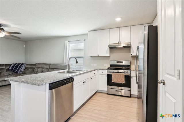 kitchen with appliances with stainless steel finishes, open floor plan, a sink, and under cabinet range hood