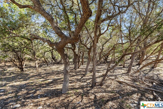 111 La Luna Dr, Blanco, TX 78606