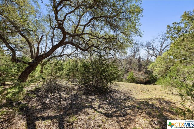 111 La Luna Dr, Blanco, TX 78606