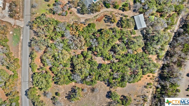 111 La Luna Dr, Blanco, TX 78606
