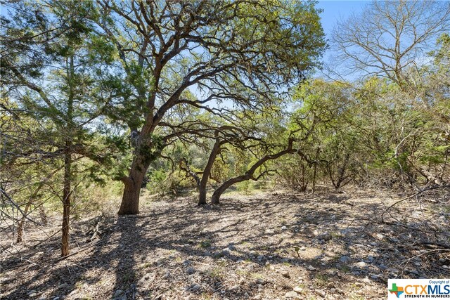 111 La Luna Dr, Blanco, TX 78606