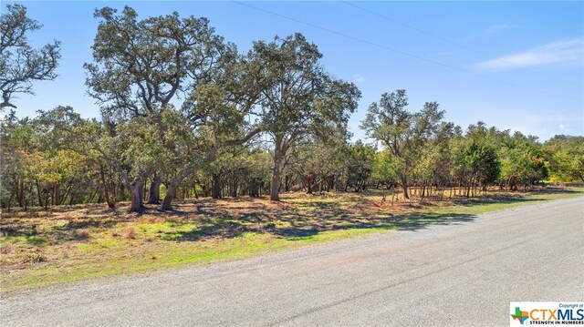 111 La Luna Dr, Blanco, TX 78606