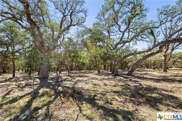 111 La Luna Dr, Blanco, TX 78606