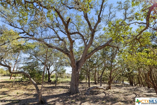 111 La Luna Dr, Blanco, TX 78606