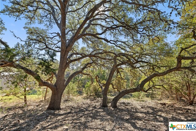 111 La Luna Dr, Blanco, TX 78606