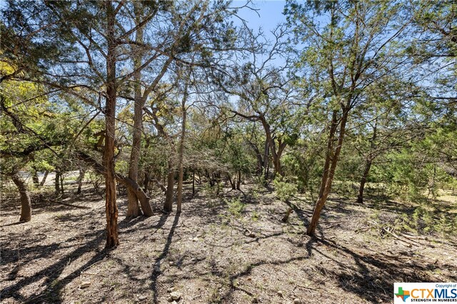 111 La Luna Dr, Blanco, TX 78606