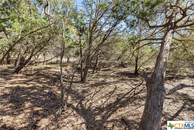 111 La Luna Dr, Blanco, TX 78606