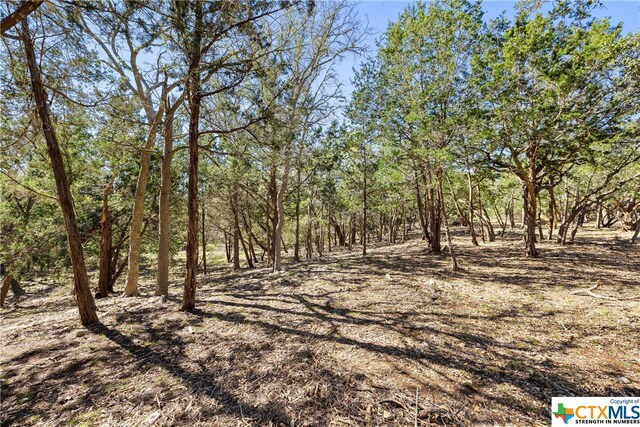 111 La Luna Dr, Blanco, TX 78606