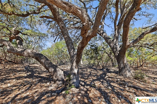 111 La Luna Dr, Blanco, TX 78606