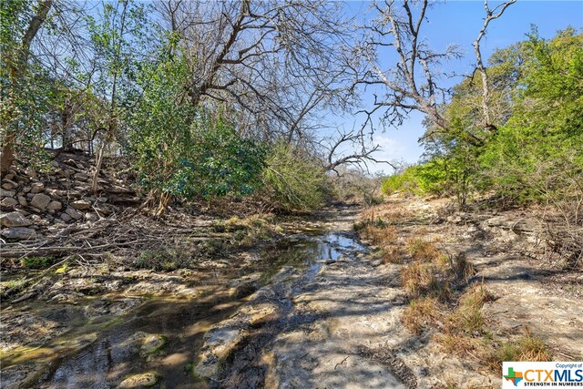 111 La Luna Dr, Blanco, TX 78606
