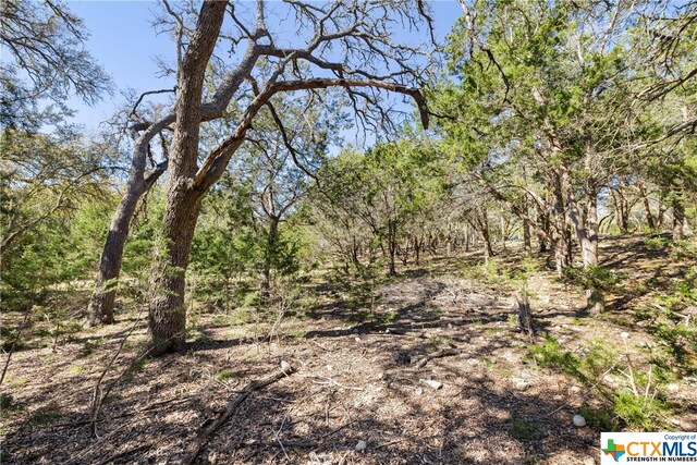 111 La Luna Dr, Blanco, TX 78606