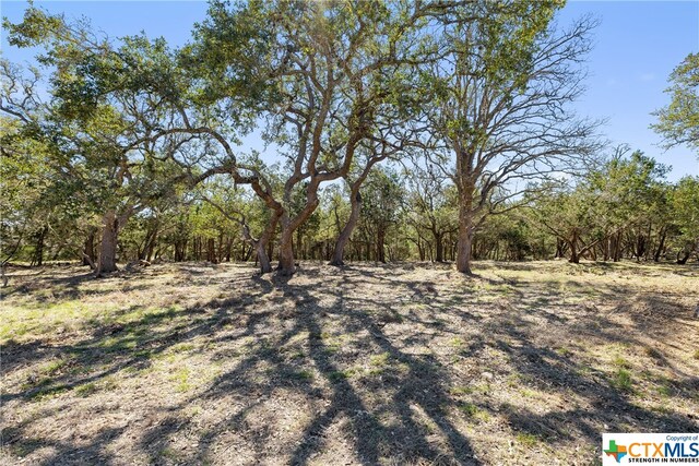 111 La Luna Dr, Blanco, TX 78606