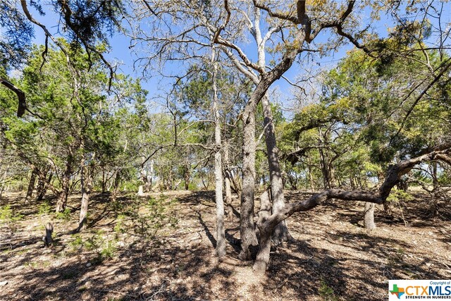 111 La Luna Dr, Blanco, TX 78606