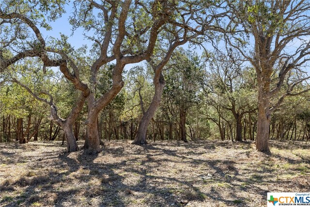 111 La Luna Dr, Blanco, TX 78606