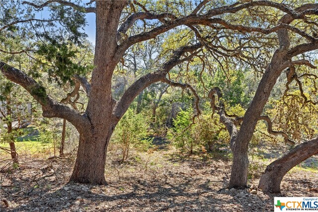 111 La Luna Dr, Blanco, TX 78606