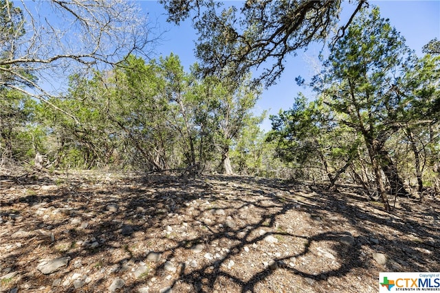 111 La Luna Dr, Blanco, TX 78606