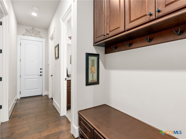 mudroom featuring dark hardwood / wood-style floors