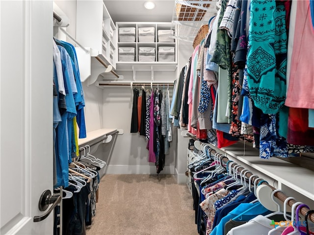 spacious closet with carpet flooring