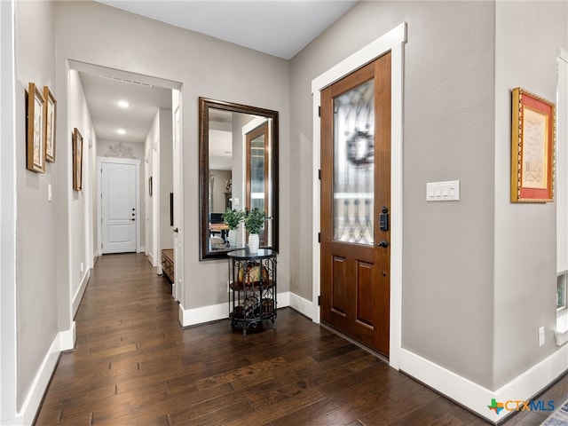 entrance foyer with dark wood-type flooring