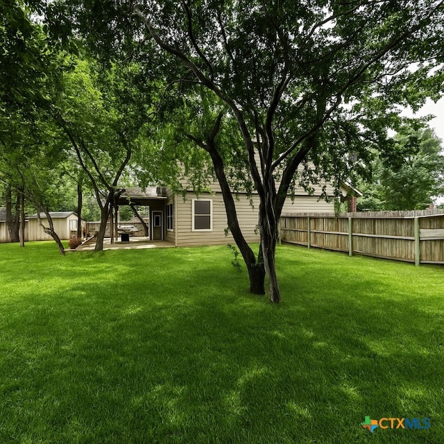 4431 Hogg, San Antonio, TX 78223 - view of yard featuring a shed and a patio