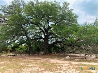 880 County Road 3100, Kempner, TX 76539 - photo 24